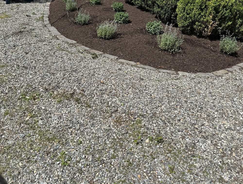 Boxwood and perennial bed edged with stone along a gravel area