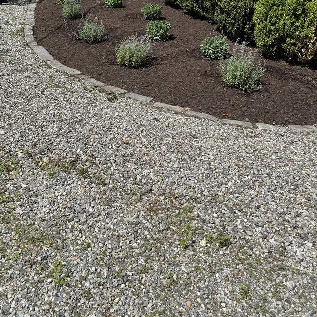 Boxwood and perennial bed edged with stone along a gravel area