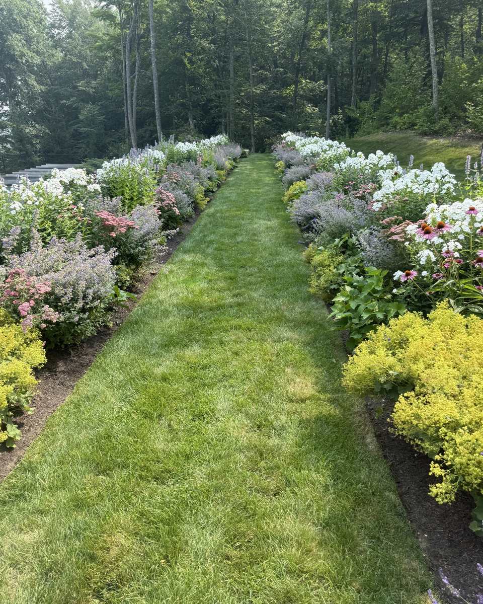 Mown grass walk between deep perennial borders of phlox, catmint and coneflower