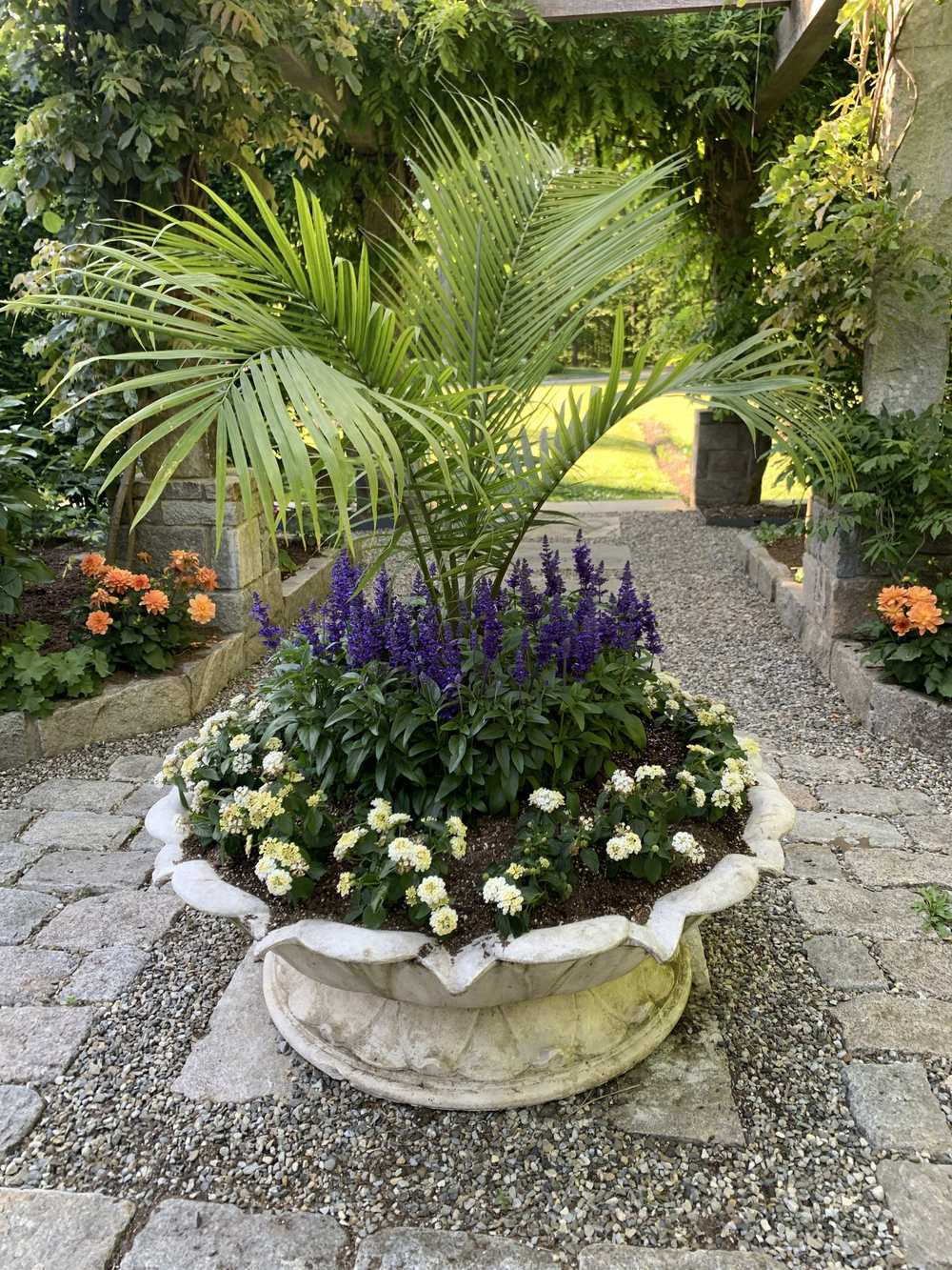Stone urn planted with salvia and annuals beneath a garden pergola