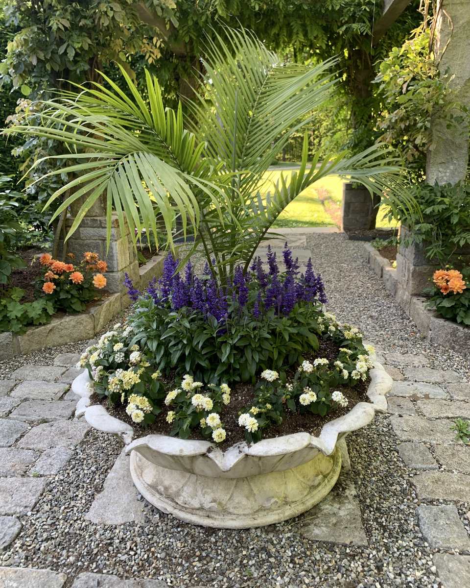 Stone urn planted with salvia and annuals beneath a garden pergola
