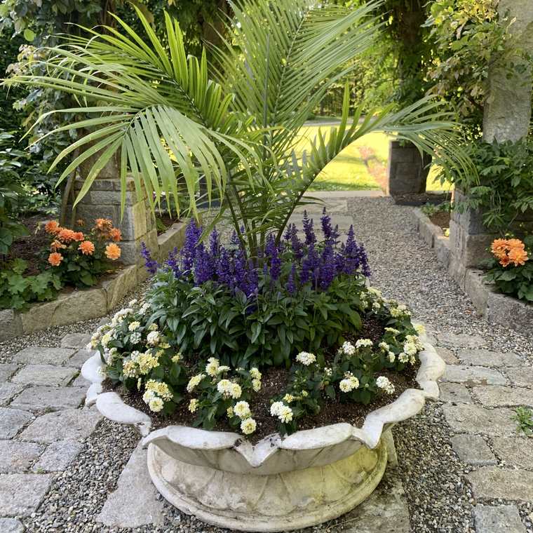 Stone urn planted with salvia and annuals beneath a garden pergola