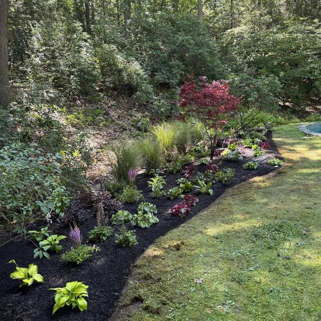 Woodland shade bed with Japanese maple, grasses and hostas